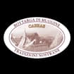 Logo Spanu Giovanni E C Snc