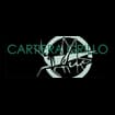 Logo "Cartiera Grillo Srl"