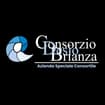 Logo Consorzio Desio-Brianza