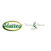 Logo Matteo Srl