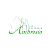 Logo Vetreria Ambrosio Srl