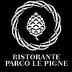 Logo Pigne Co Srl Semplificata