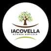Logo Iacovella Davide