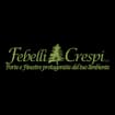 Logo "Febelli E Crespi Srl"