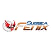 Logo Subsea Fenix Srl