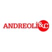 Logo Andreoli E C. Srl