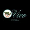 Logo Vivo Società Agricola A R.l.