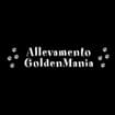 Logo Allevamento Goldenmania Di Tiziana Viscusi