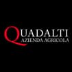 Logo Azienda Agricola Quadalti Di Quadalti Graziano, Tiziano, Michele E Pier Giovanni Ss Agricola