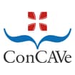 Logo Concave