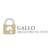 Logo Gallo & Partners S.a.s. Di Gallo Simone
