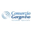 Logo Consorzio Gorgovivo