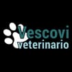 Logo Vescovi Lorenzo Angelo