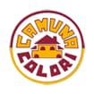 Logo Camuna Colori S.a.s. Di Martinelli P. E C.
