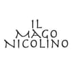 Logo Nicolino E C. S.a.s. Di Jader Schirru