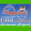 Logo Azienda Agricola Peppovo Di Lecce Giuseppe