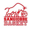 Logo Società Sportiva Dilettantistica San Giobbe Basket Etruria A R.l. In Sigla S.s.d. San Giobbe Basket Etruria A R.l.