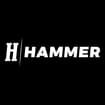 Logo Hammer Srl