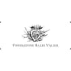 Logo Fondazione Balbi Valier