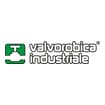 Logo Valvorobica Industriale Spa