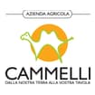 Logo Azienda Agricola Cammelli Di Cammelli Luciano E C. Ss Agricola