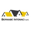 Logo Bernabe' Intonaci Srl