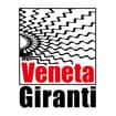 Logo Veneta Giranti Srl