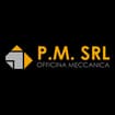 Logo P.m. Srl