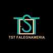 Logo T.s.t. Falegnameria Srl