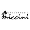Logo Laboratorio Miccini Di Federico Ed Elisa Miccini Snc