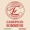 Logo Caseificio Sommese Srl