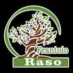 Logo Raso Srl