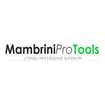 Logo Mambrini S.a.s. Di Mambrini Marco E C.