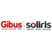 Logo Soliris Srl Semplificata