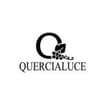 Logo Quercialuce Srl