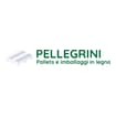 Logo A.pellegrini S.n.c. Di Pellegrini Bruno E C.