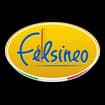 Logo Felsineo Spa - Società Benefit