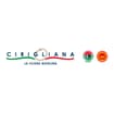 Logo Caseificio Cirigliana Srl