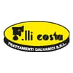 Logo F.lli Costa Trattamenti Galvanici Srl Siglabile Fratelli Costa Srl