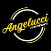 Logo Angelucci Motori Srl Semplificata