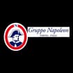 Logo Gruppo Napoleon Spa