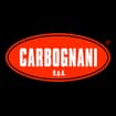 Logo Carbognani Spa