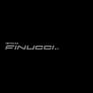 Logo Impresa Finucci - S.r..L.