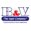 Logo B. & V. Srl