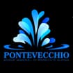Logo Pontevecchio Srl
