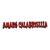 Logo Nobili Di Calabria Srl