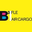 Logo Fiumicino Logistica Europa Srl