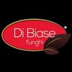 Logo Di Biase Srl