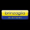 Logo Brinzaglia Idrio S.n.c. Di Brinzaglia Emiliano E Riccardo