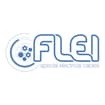 Logo Flei Srl